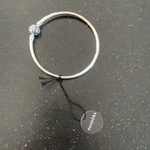 Brand new never worn Pandora bangle bracelet